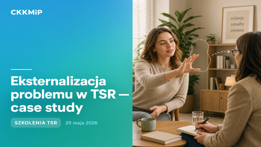 Eksternalizacja problemu w TSR — case study